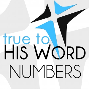 Numbers Study